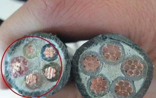 花環珠江電纜_珠江花環電力科技有限公司,廣州珠江電纜,國標珠江電纜